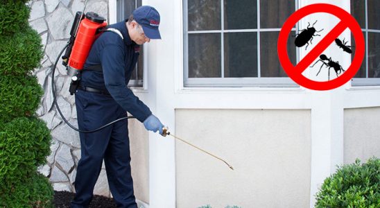 Çukurova Kene İlaçlama böcek ilaçlama ve haşere kontrolü — ilaclama-tr.com